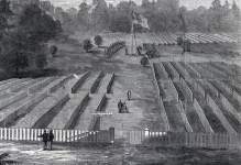 Clara Barton raising the flag over the new national cemetery at Andersonville, Georgia, August 17, 1865, artist's impression