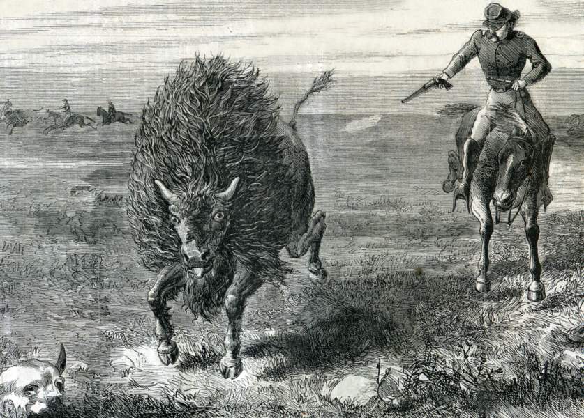 HD_BufHunt67_07HW.jpg