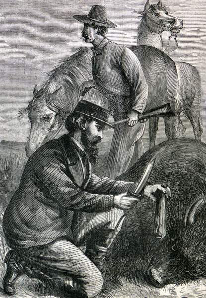 HD_BufHuntA67_07HW.jpg