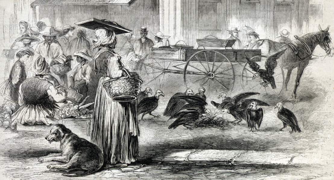 City Market, Charleston, South Carolina, September 1866, artist's impression.