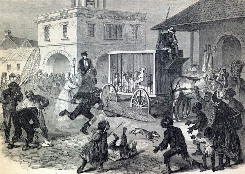 Dog catchers in operation, Richmond, Virginia, Summer 1866, artist's impression.