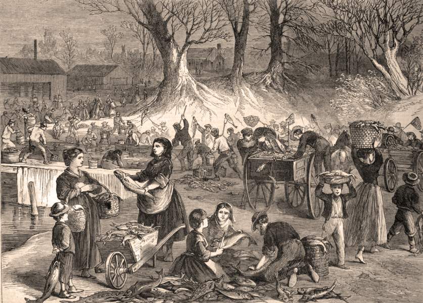 Windfall of fish trapped in the pools of the mills of Neenah, Wisconsin, May 1867, artist's impression.