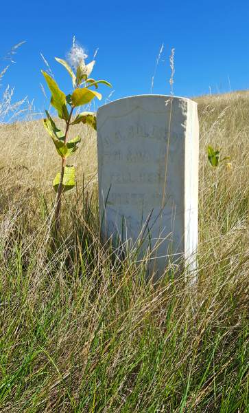 HD_LBigHgrave1.jpg