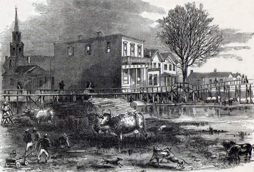 Cairo, Illinois, April 1866, artist's impression