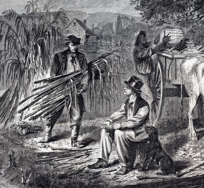 Edwin Forbes, "Gathering Corn," Harper's Weekly Magazine, October 14, 1865, detail