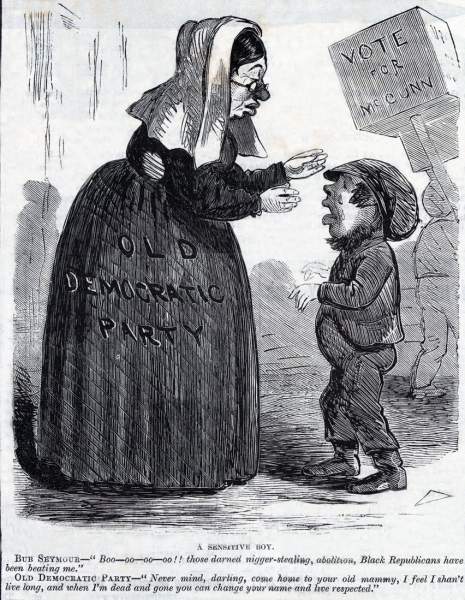 "A Sensitive Boy," cartoon, November 28, 1863