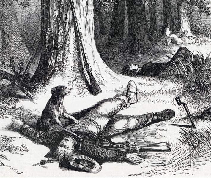 Faithful dog: A scene on the field after the Battle of Winchester, September 19, 1864, artist's impression, detail