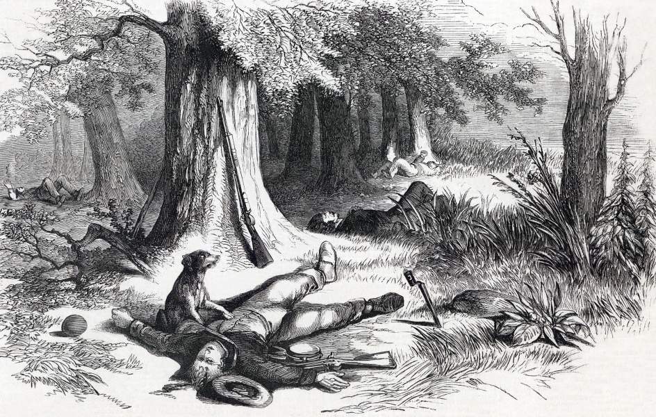 Faithful dog: A scene on the field after the Battle of Winchester, September 19, 1864, artist's impression, zoomable image