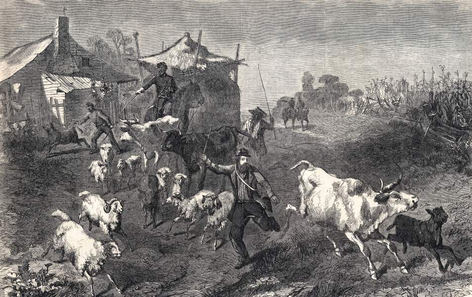 "Foraging in Louisiana," Harper's Weekly, artist's impression, May 1864, zoomable image