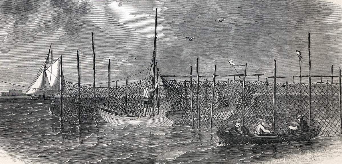 Long Island fishing nets, Gravesend, New York, October 1865, artist's impression