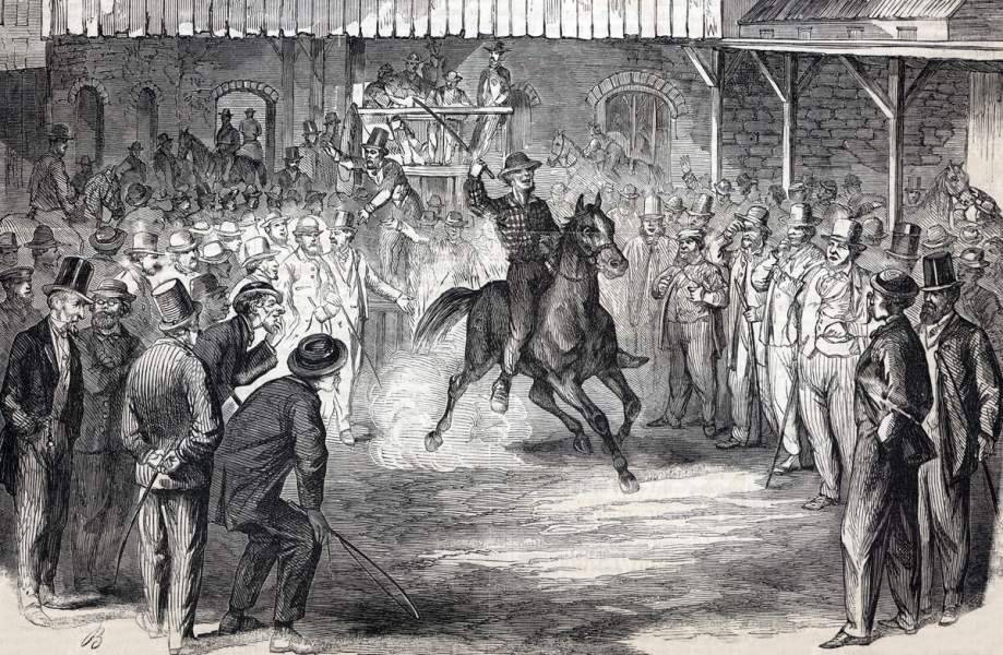 Sale of surplus government horses, New York City, August 1865, artist's impression