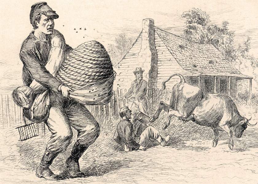 "A Land Flowing With Milk and Honey," Edwin Forbes, copper plate etching, 1876, detail