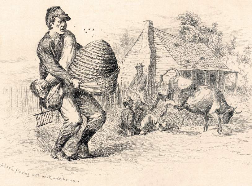 "A Land Flowing With Milk and Honey," Edwin Forbes, copper plate etching, 1876, zoomable image