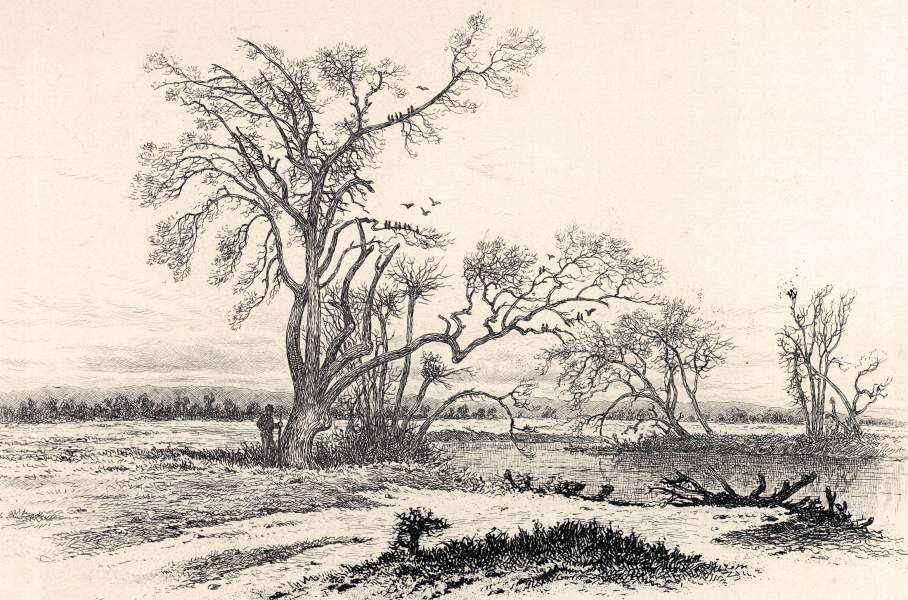 "On Picket at the River Bank," Edwin Forbes, copper plate etching, 1876, zoomable image