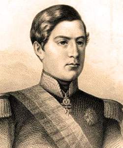 Pedro V, King of Portugal, detail