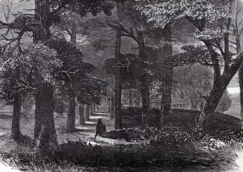 Amelia Sulphur Springs, Amelia County, Virginia, December 1865, artist's impression