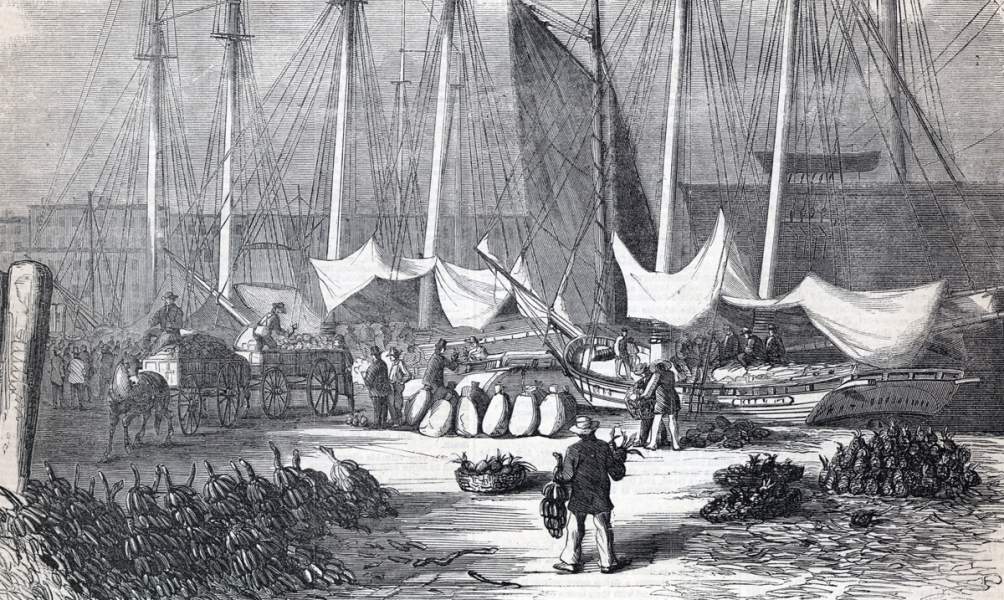 Burling Slip, New York City, July 1865, artist's impression