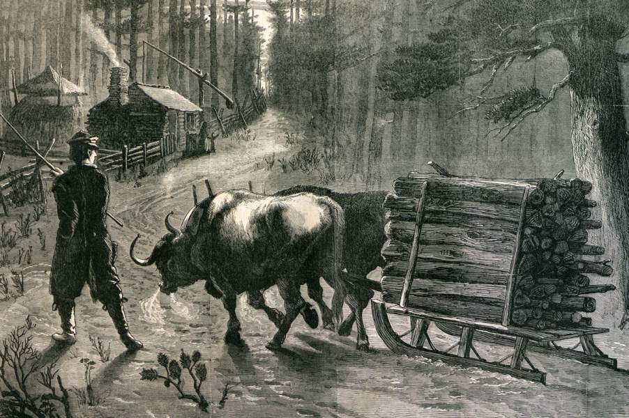 Edwin Forbes, "Winter," Harper's Weekly Magazine, January 20, 1866, detail