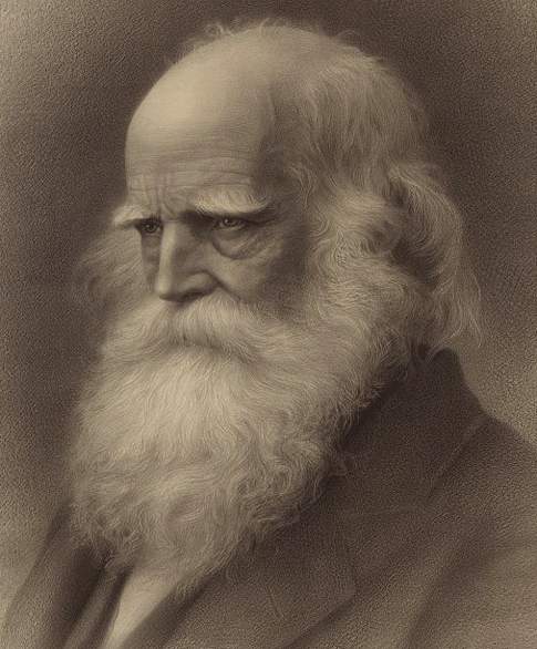 William Cullen Bryant