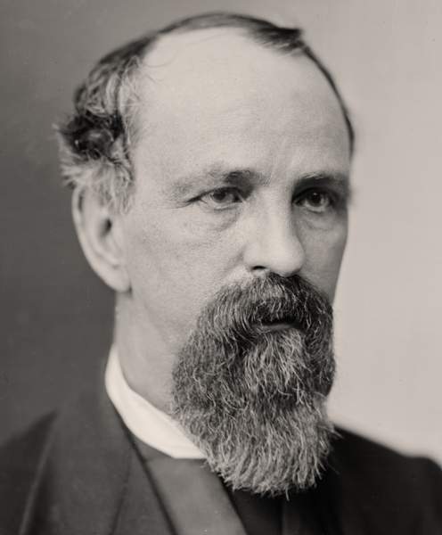 Samuel Sullivan Cox, portrait size