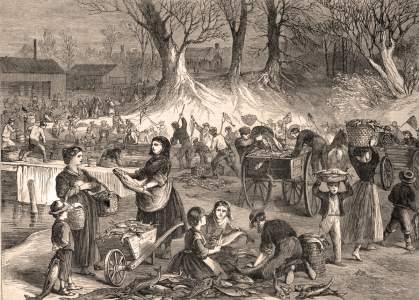 Windfall of fish trapped in the pools of the mills of Neenah, Wisconsin, May 1867, artist's impression.