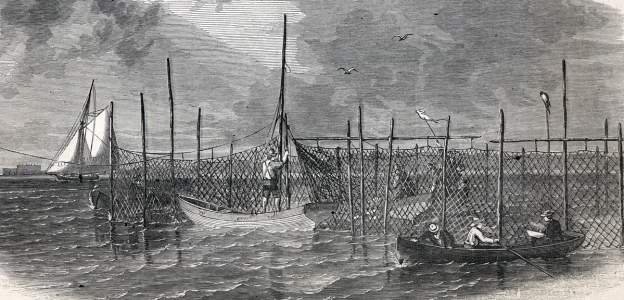 Long Island fishing nets, Gravesend, New York, October 1865, artist's impression