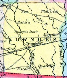 Lowndes County, Georgia, 1857