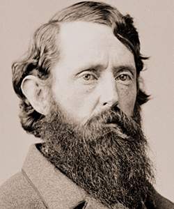 Benjamin Gratz Brown, Brady image, detail