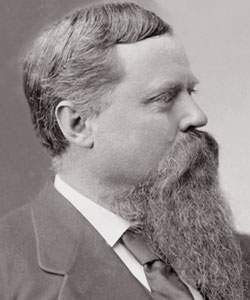 Fitzhugh Lee, detail