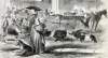 City Market, Charleston, South Carolina, September 1866, artist's impression.
