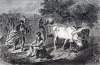 Edwin Forbes, "Gathering Corn," Harper's Weekly Magazine, October 14, 1865, zoomable image