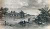 Flooding in West Baton Rouge Parish after Mississippi River leveé break, May 1867, artist's impression.