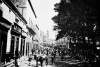 HD_QueteroMarket1867.jpg