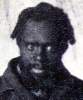 HD_wattsSamuel_c.jpg