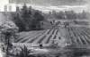 The new national cemetery at Andersonville, Georgia, August 17, 1865, artist's impression, zoomable image