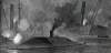 The C.S.S. Albemarle in action against the U.S.S. Southfield, April 19, 1864, artist's impression, detail