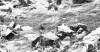 Camp Sumter, Andersonville, Georgia, August 17, 1864, photograph, detail