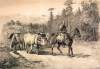 "The Leader of the Herd," Edwin Forbes, copper plate etching, 1876, zoomable image