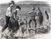 Walking on the Beach, Farmer's Picnic, Raritan Bay, Amboy, New Jersey, August 1, 1865, artist's impression