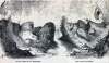 "Castle Lincoln - No Surrender ... Fort Davis - In Ruins," cartoon, April 12, 1862