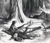 Faithful dog: A scene on the field after the Battle of Winchester, September 19, 1864, artist's impression, detail