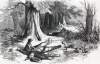 Faithful dog: A scene on the field after the Battle of Winchester, September 19, 1864, artist's impression, zoomable image