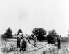 Fieldwork in Georgia, circa 1899