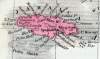 Jamaica, 1857