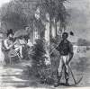 "The Great Labor Question From a Southern Point of View," Harper's Weekly, July 1865, artist's impression, zoomable image