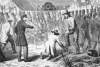 Confederate prisoners clearing land-mines, Fort McAllister, Georgia , December 1864, artist's impression, detail