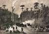 "A Night March," Edwin Forbes, copper plate etching, 1876, zoomable image