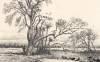 "On Picket at the River Bank," Edwin Forbes, copper plate etching, 1876, detail