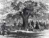 Peach Harvest, Cranbury, New Jersey, late August 1865, artist's impression
