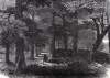Amelia Sulphur Springs, Amelia County, Virginia, December 1865, artist's impression